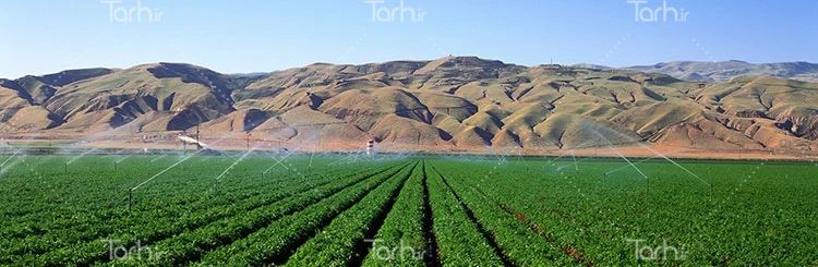 عکس آبیاری کشاورزی عکس آبیاری کشاورزی